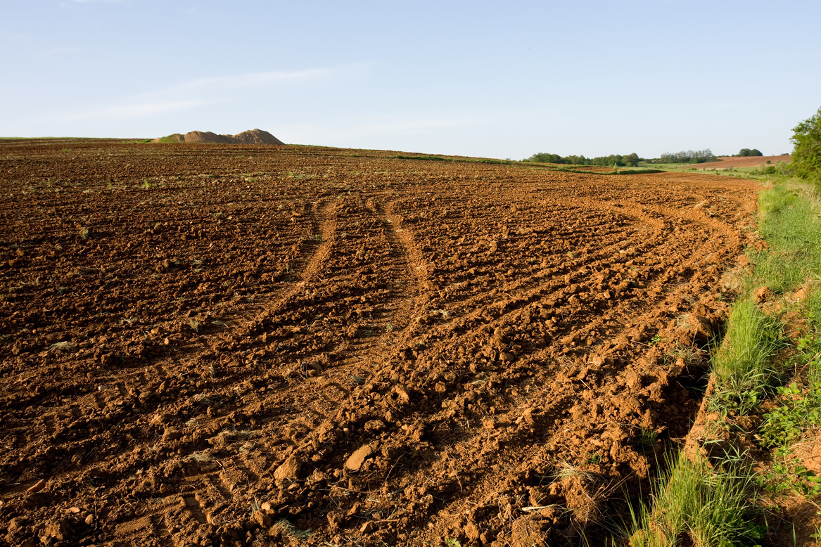 Agricultural land