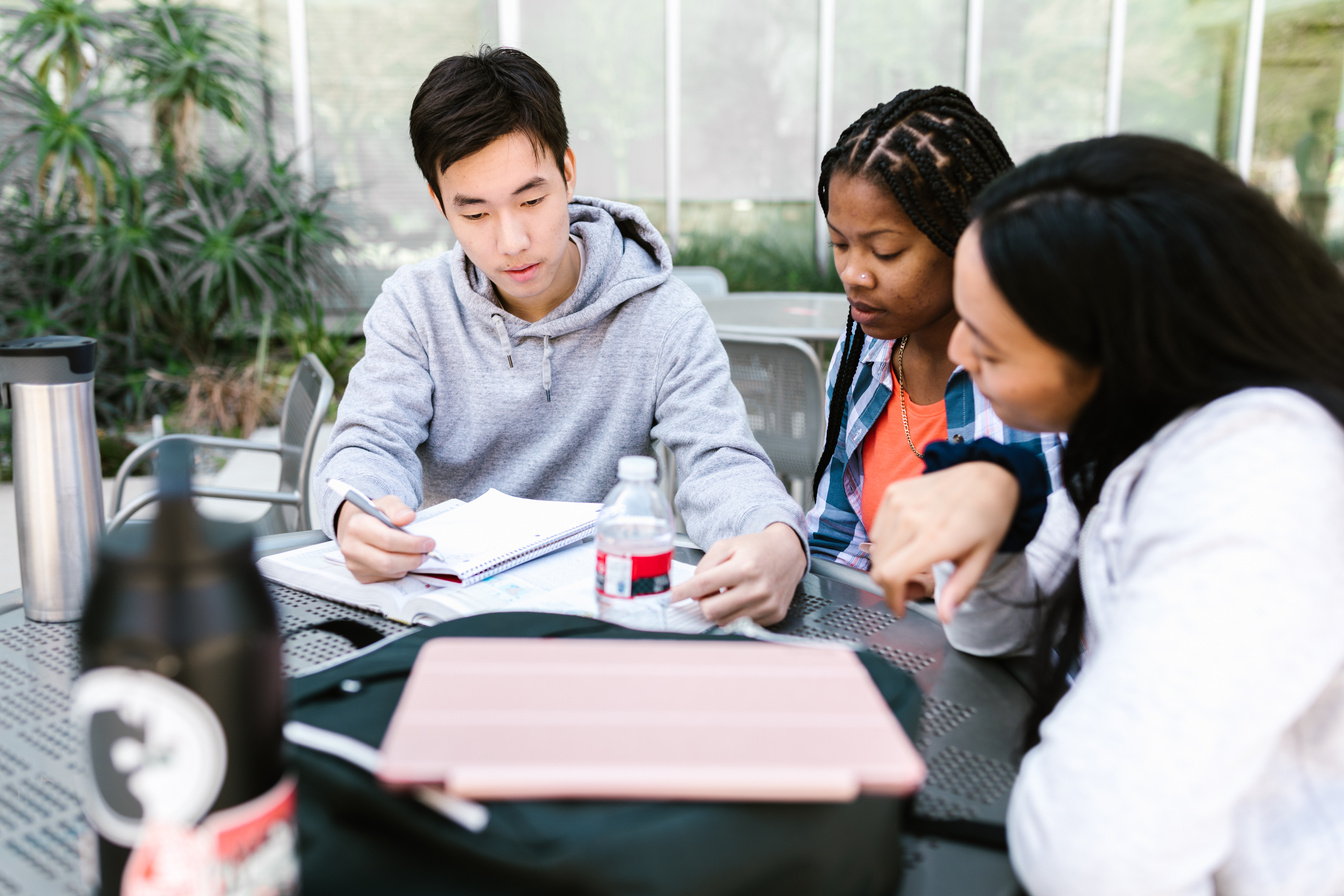 Students Studying Together